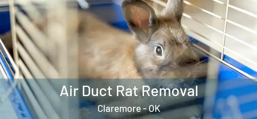  Air Duct Rat Removal Claremore - OK