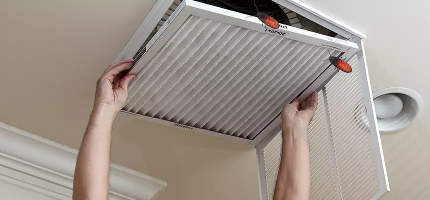 Preventive Cockroach-Proofing for Ducts in Claremore