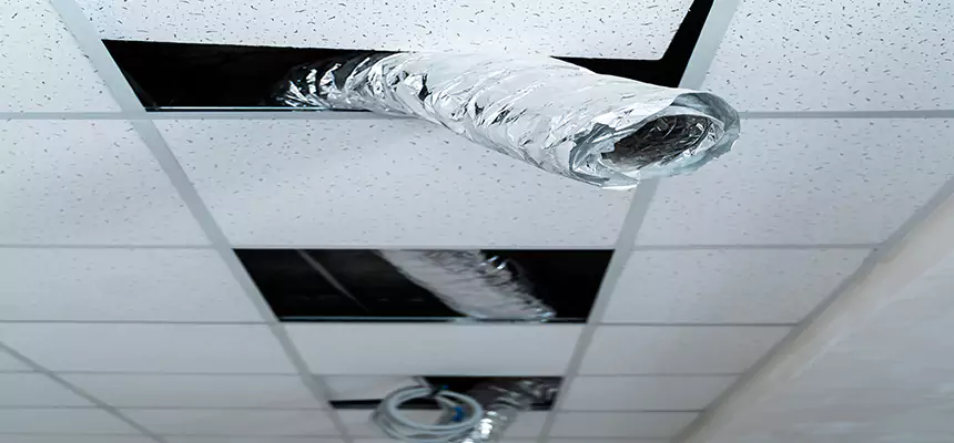 Our Air Duct Pet Hair Removal Services in Claremore, OK