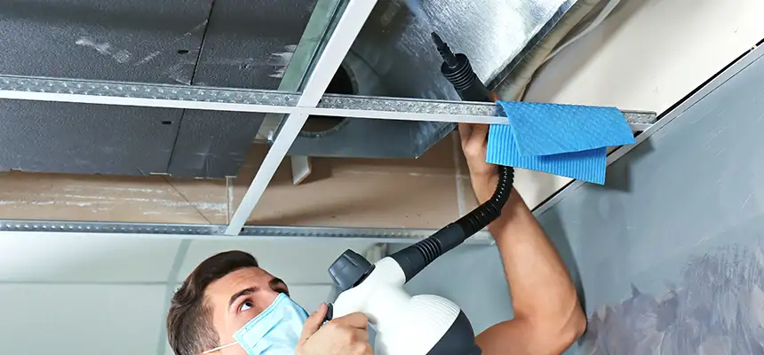 Our Air Duct Rodent Removal Services in Claremore, OK
