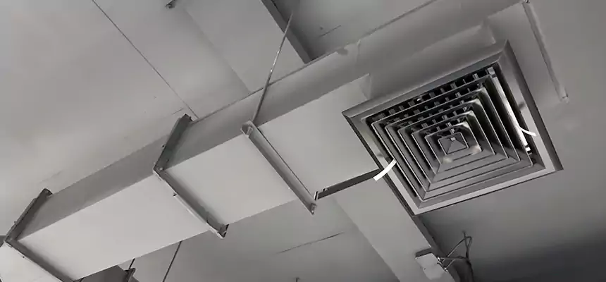 Our Rodent Droppings In Vents Services in Claremore, OK