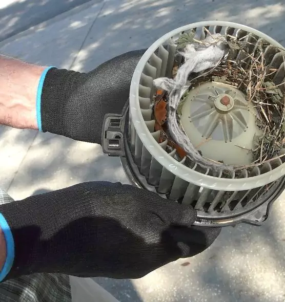 About Air Duct Mice Removal in Claremore, OK