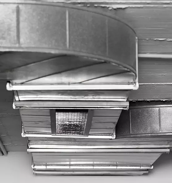 Professional Air Duct Pest Removal in Claremore, OK