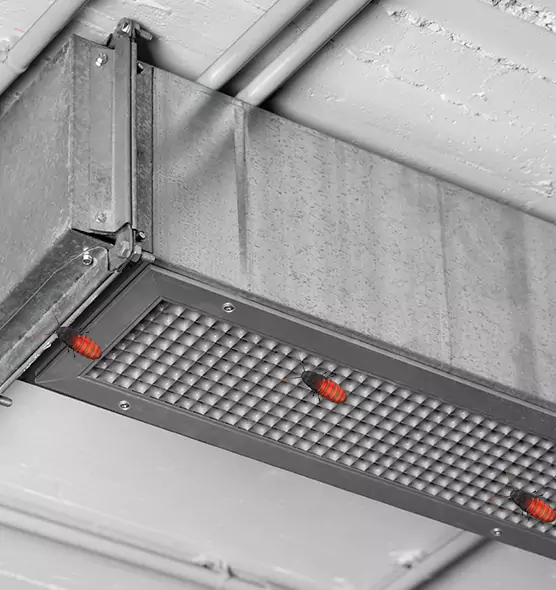 Affordable Insect Removal from Air Ducts in Claremore, OK