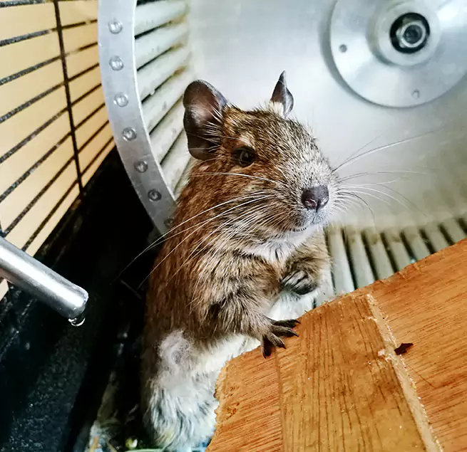 Why Homeowners & Businesses Trust Us Claremore, OK?